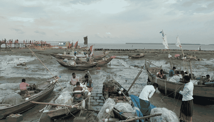 টাকার বিনিময়ে নিষেধাজ্ঞায় মাছ শিকার; মনপুরায় তদন্ত কমিটি