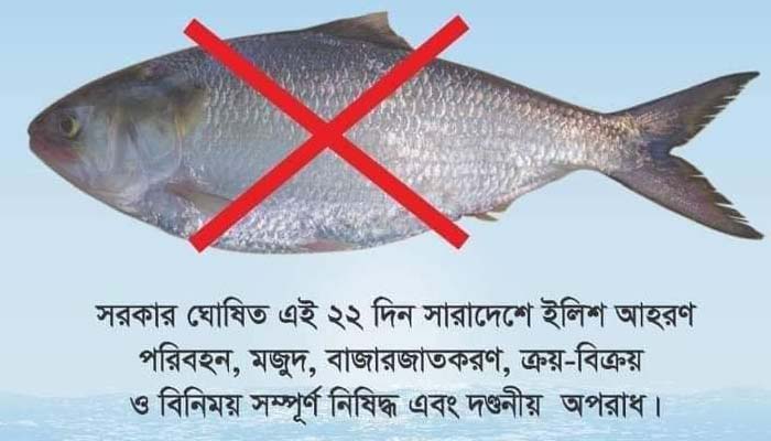 ইলিশ রক্ষায় নদী-সাগরে ২২ দিন মাছ ধরা নিষিদ্ধ, হতাশা জেলেদের