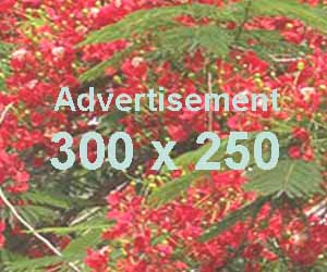 Advertise top
