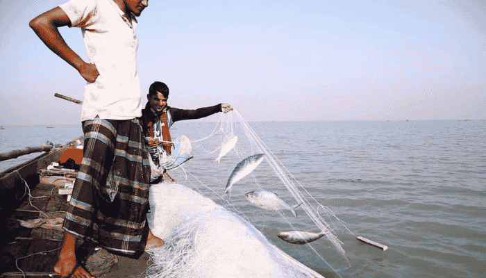 নিষেধাজ্ঞা শেষেও চড়া ইলিশের দাম
