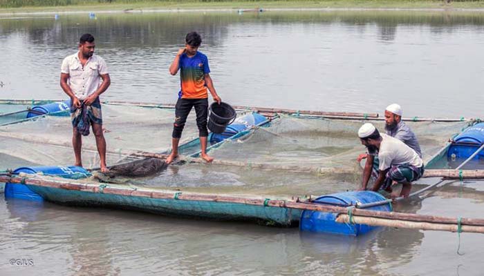 ভাগ্য ফিরছে ভোলার মৎস্য চাষীদের