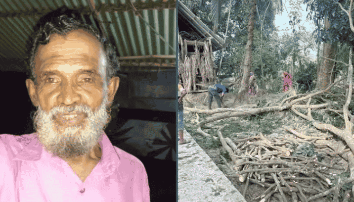 বাউফলে গাছের ডাল পড়ে বৃদ্ধের মৃত্যু