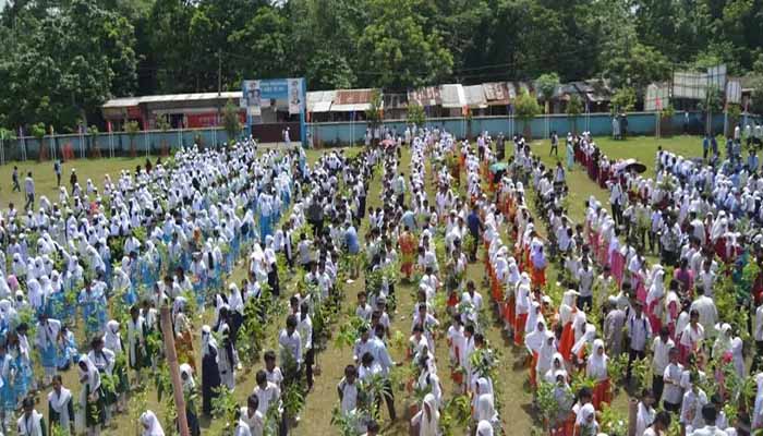 পরিবেশের ভারসাম্য রক্ষাকারী চারা লাগাতে হবে: বিভাগীয় কমিশনার