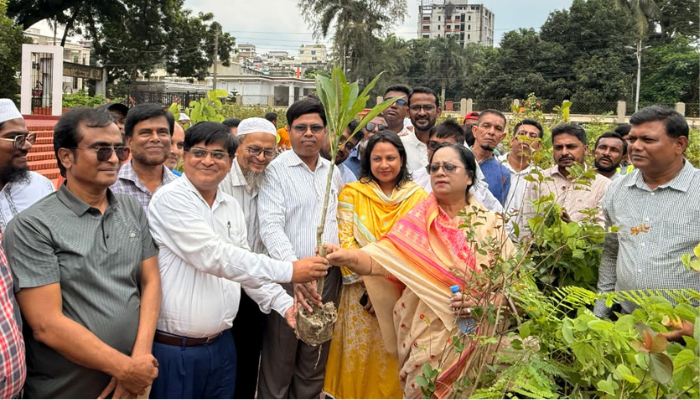 ১৪৫ প্রতিষ্ঠানে ২০ হাজার গাছের চারা বিতরণ করলো বিসিসি