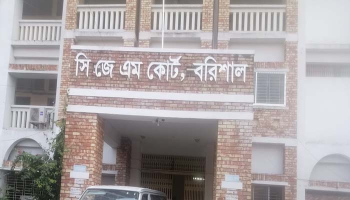 আইনজীবী ছাড়াই চলেছে আদালত শুনানী করলেন বাদী- বিবাদীরাই