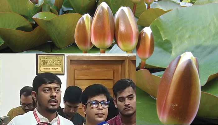  বুঝে এসেছে এনসিপির, শাপলা কলিতেই সম্মতি