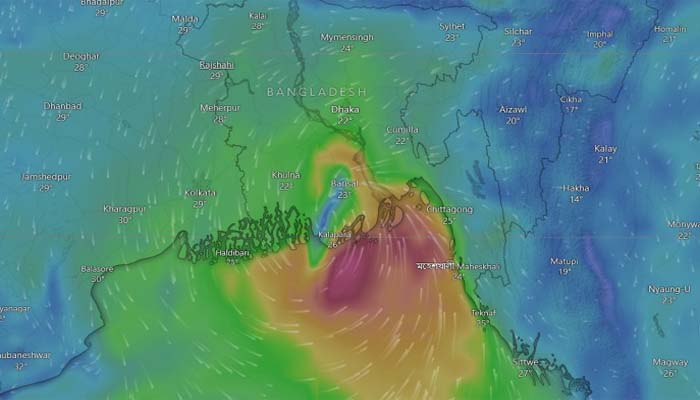 উপকূল অতিক্রম করে দুর্বল হয়ে পড়েছে  মিধিলি 